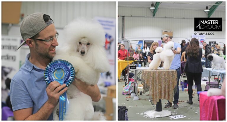 tony and dog sale 768x416